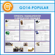 ����� �������� ������������ � ���������� �������� (GO-14-POPULAR)