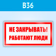 ���� ��� ���������! �������� ����, B36 (�������, 200�100 ��)
